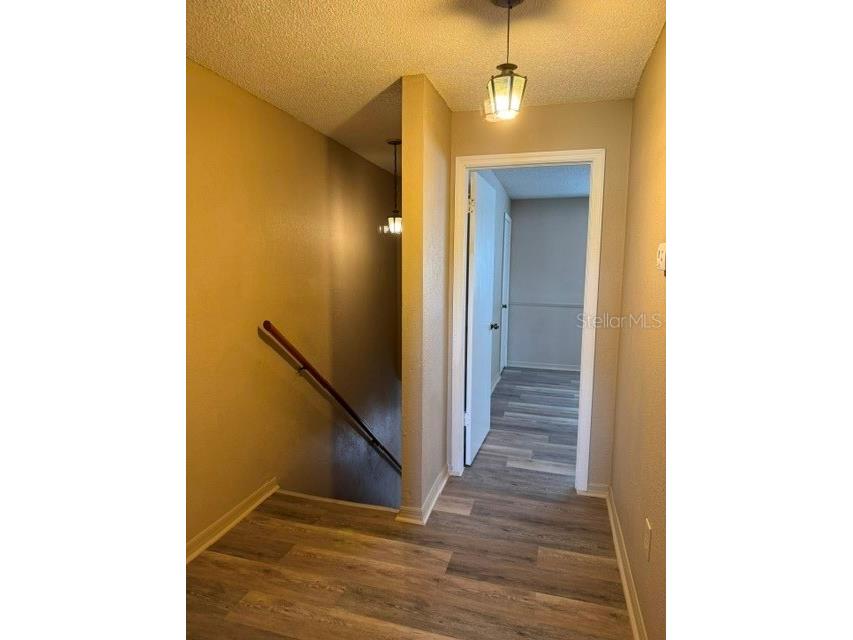 8559 Pilgrim Court New Port Richey FL 34653 W7886251 image26