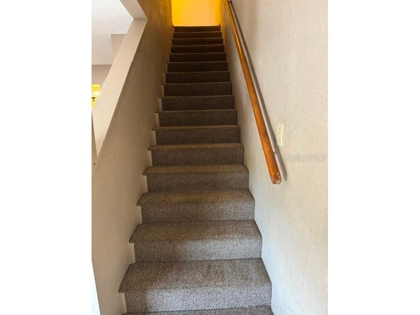 8559 Pilgrim Court New Port Richey FL 34653 W7886251 image29
