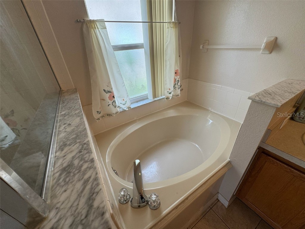 856 Cassia Drive Davenport FL 33897 S5133422 image21