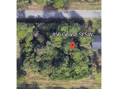 856 Gelaso Street SW Palm Bay FL 32908 OM711933 image1