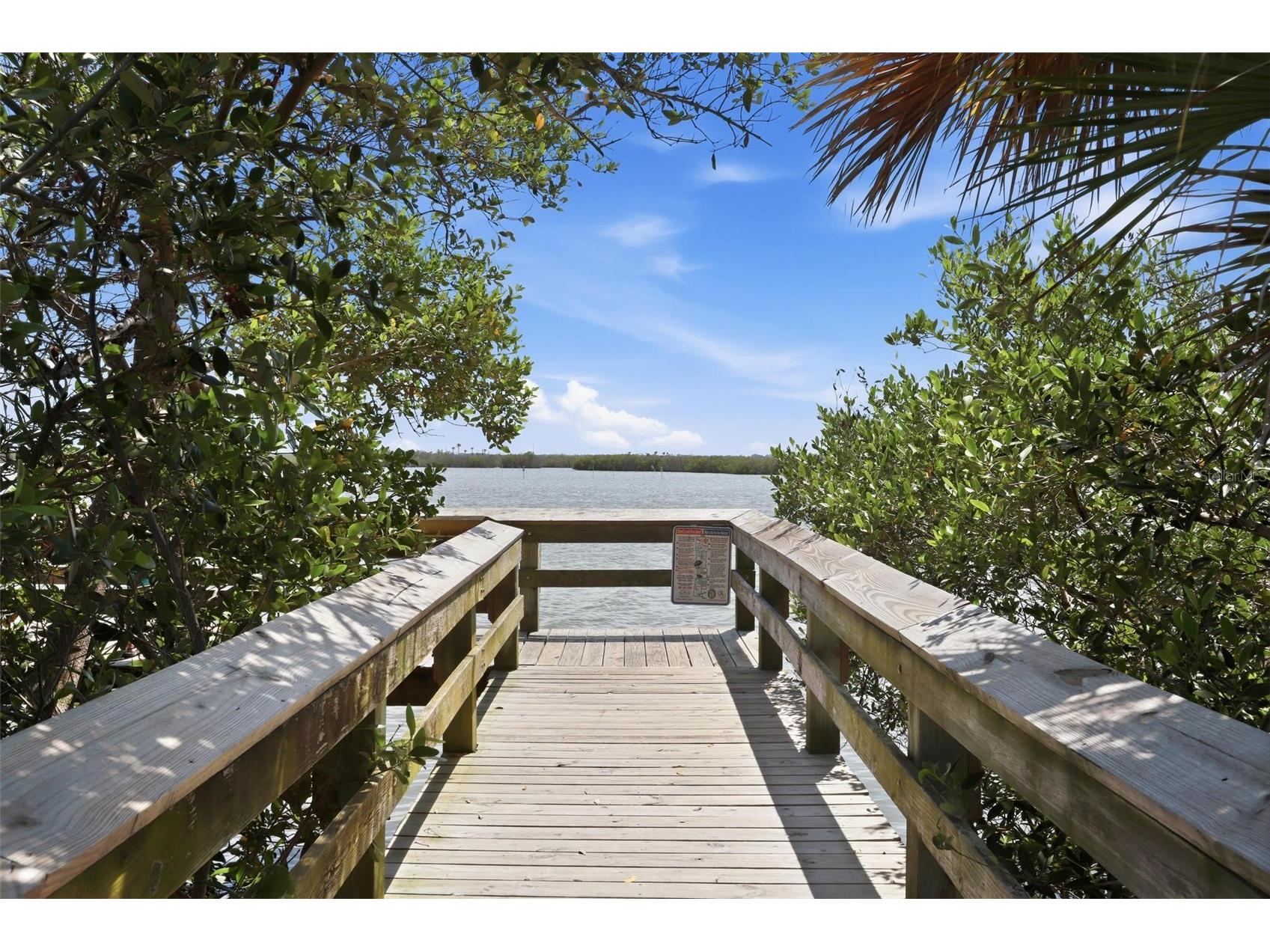 856 Ladyfish Avenue New Smyrna Beach FL 32169 V4949190 image47