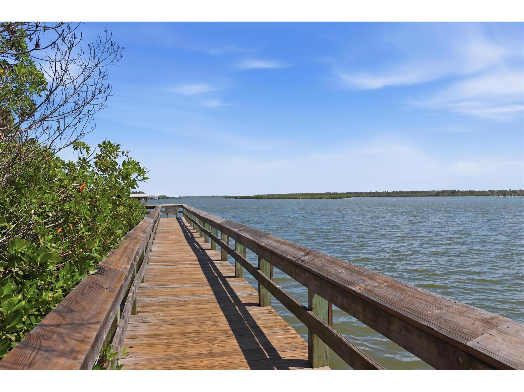 856 Ladyfish Avenue New Smyrna Beach FL 32169 V4949190 image49