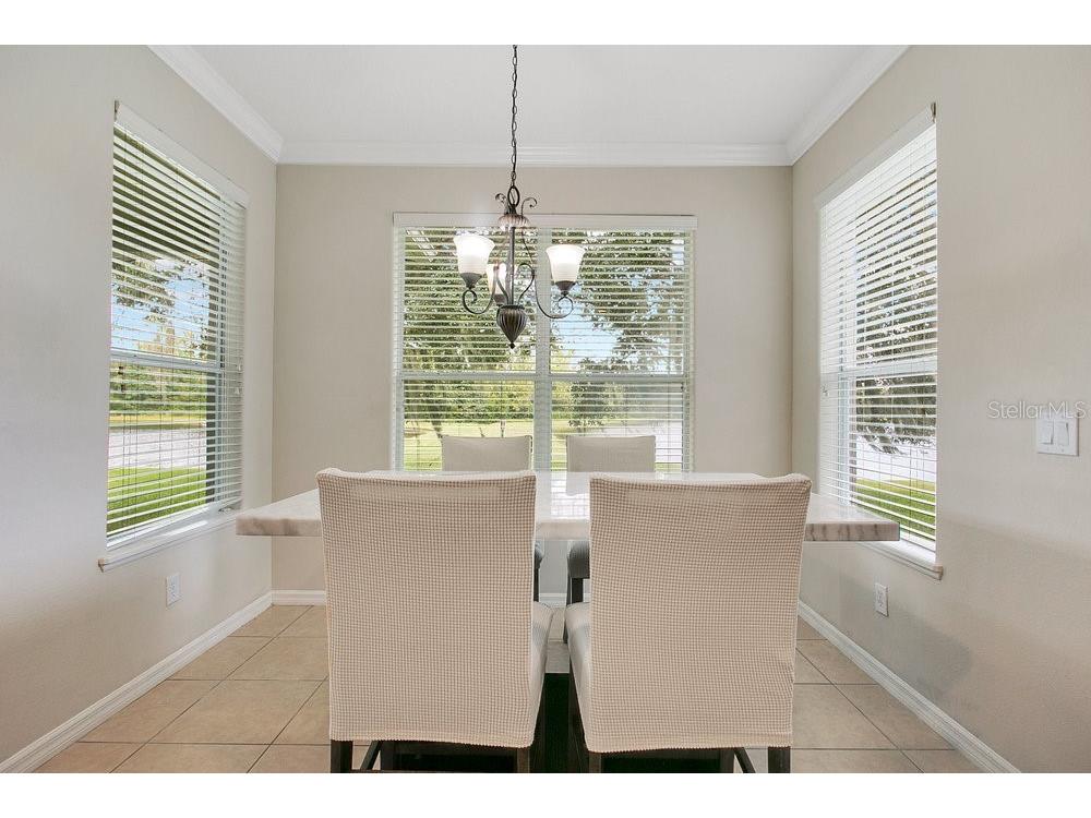 856 Spring Oak Circle Orlando FL 32828 O6348938 image12