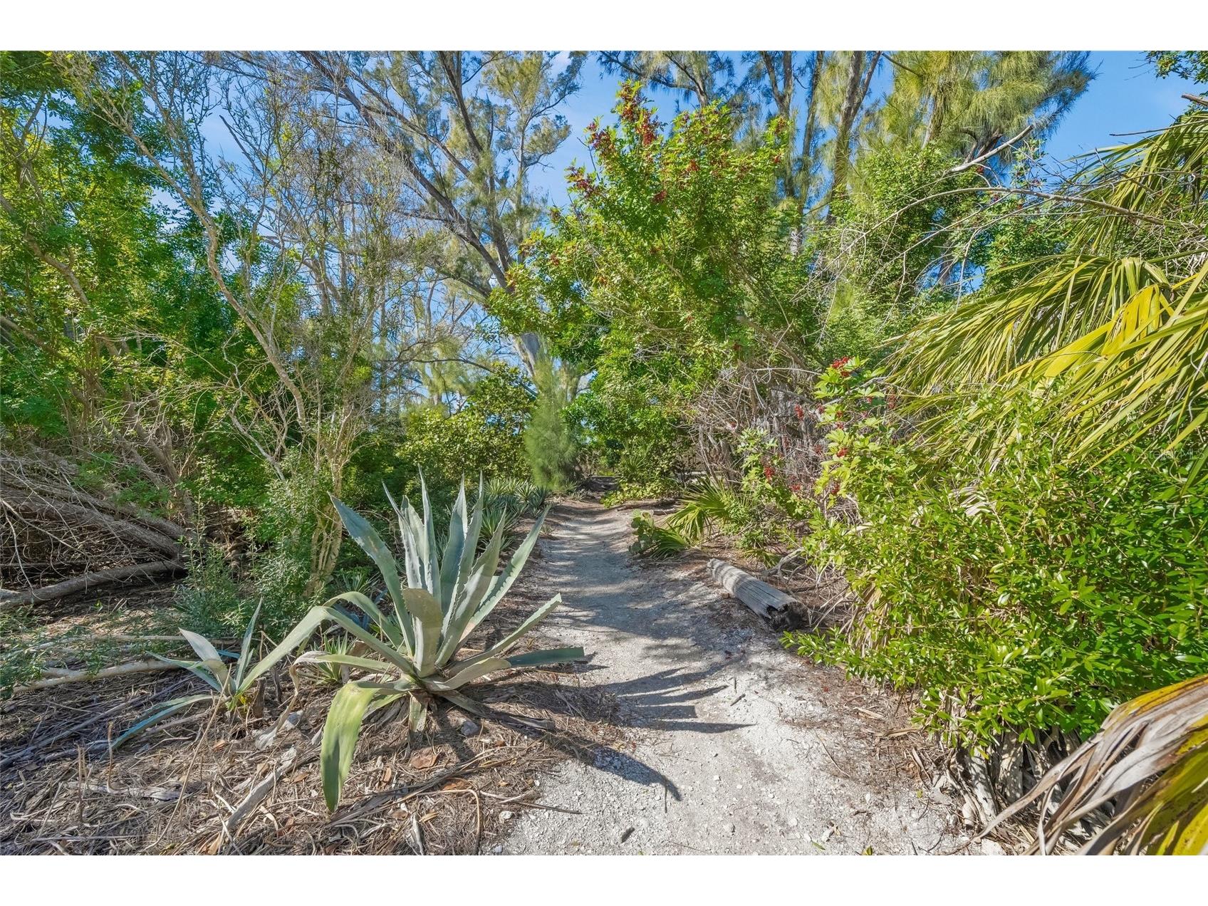 8560 Heron Lagoon Circle Sarasota FL 34242 A4682353 image40