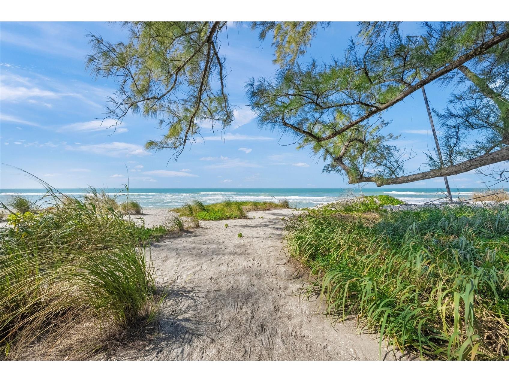 8560 Heron Lagoon Circle Sarasota FL 34242 A4682353 image42