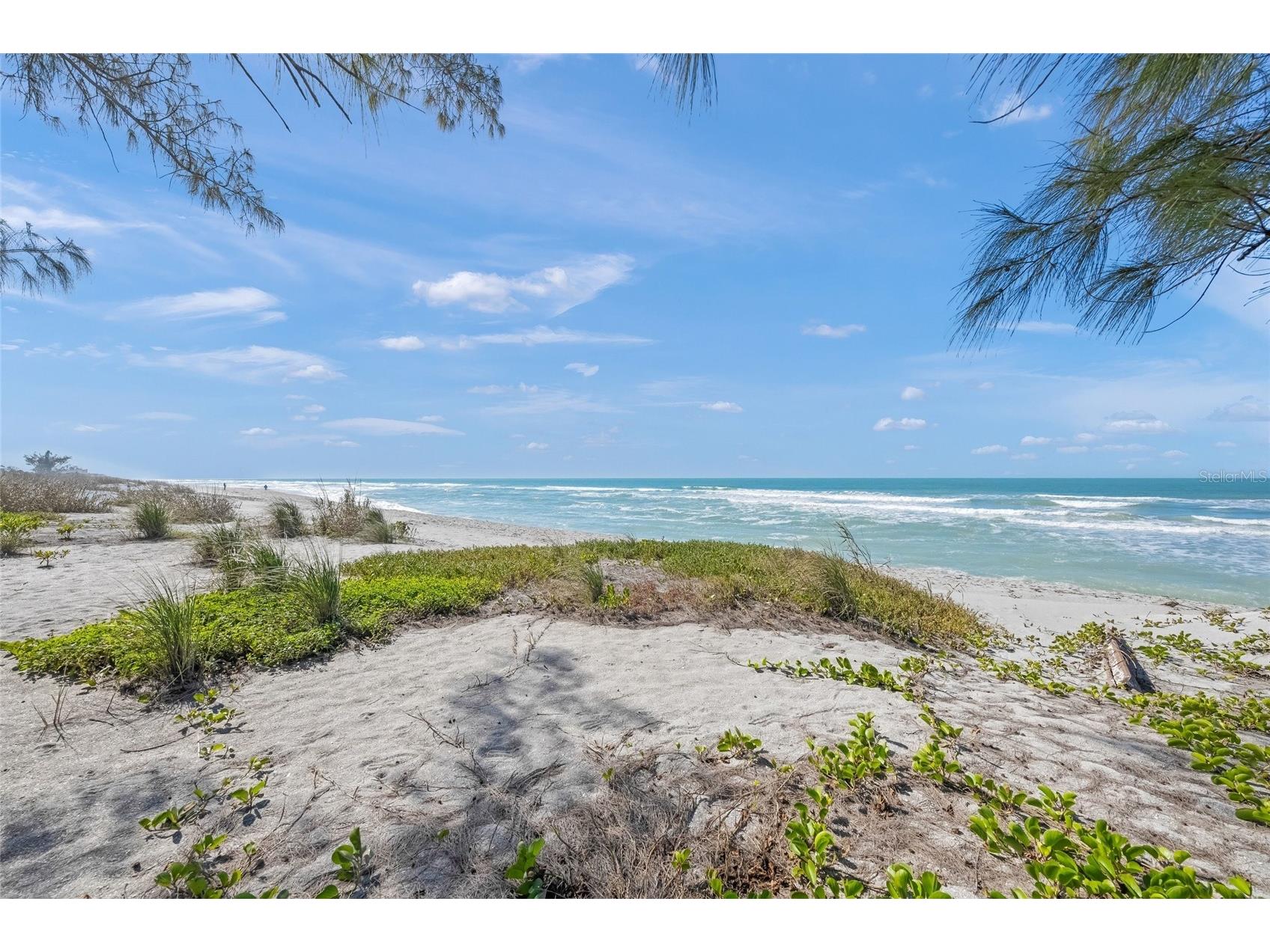 8560 Heron Lagoon Circle Sarasota FL 34242 A4682353 image44