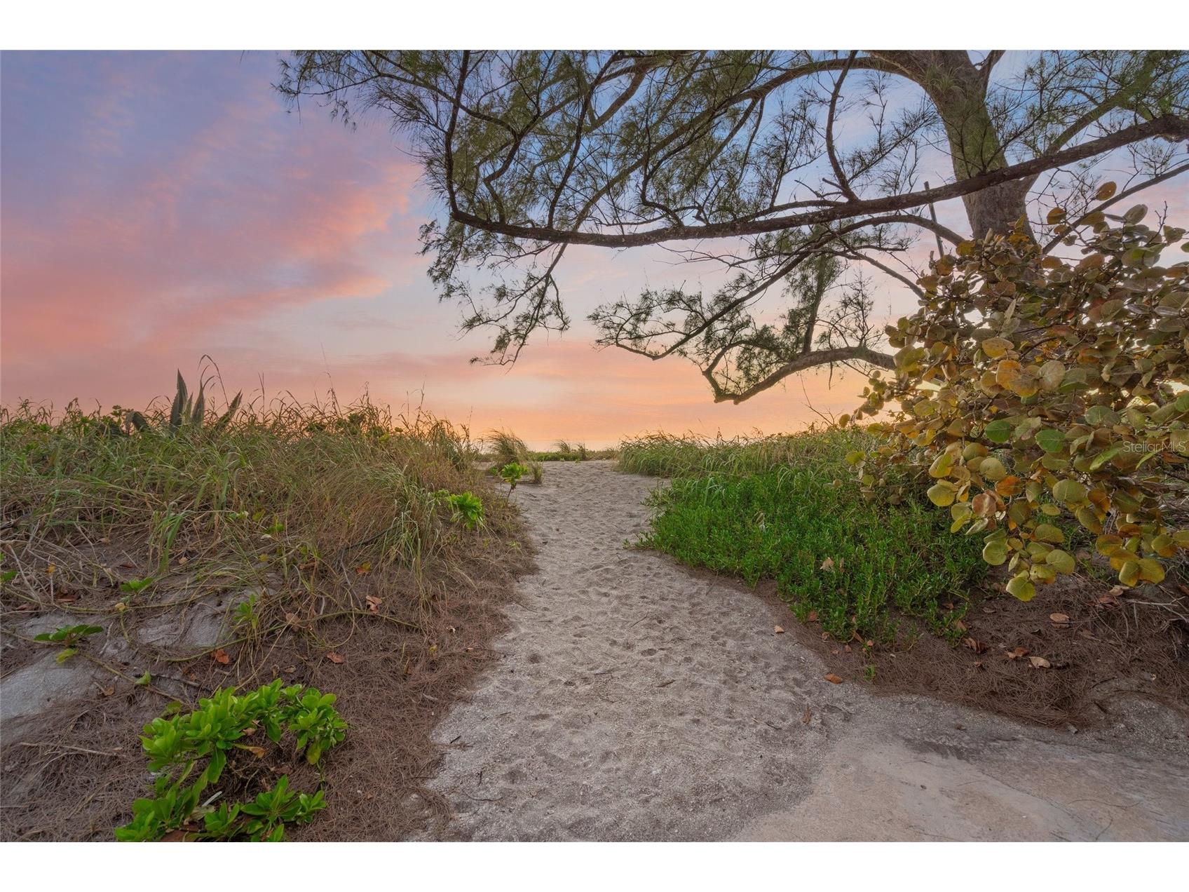8560 Heron Lagoon Circle Sarasota FL 34242 A4682353 image66