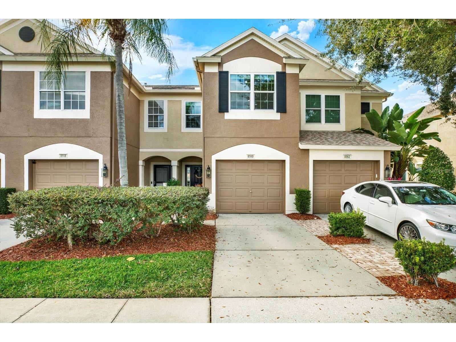 8560 Sandy Beach Street Tampa FL 33634 TB8460783 image1