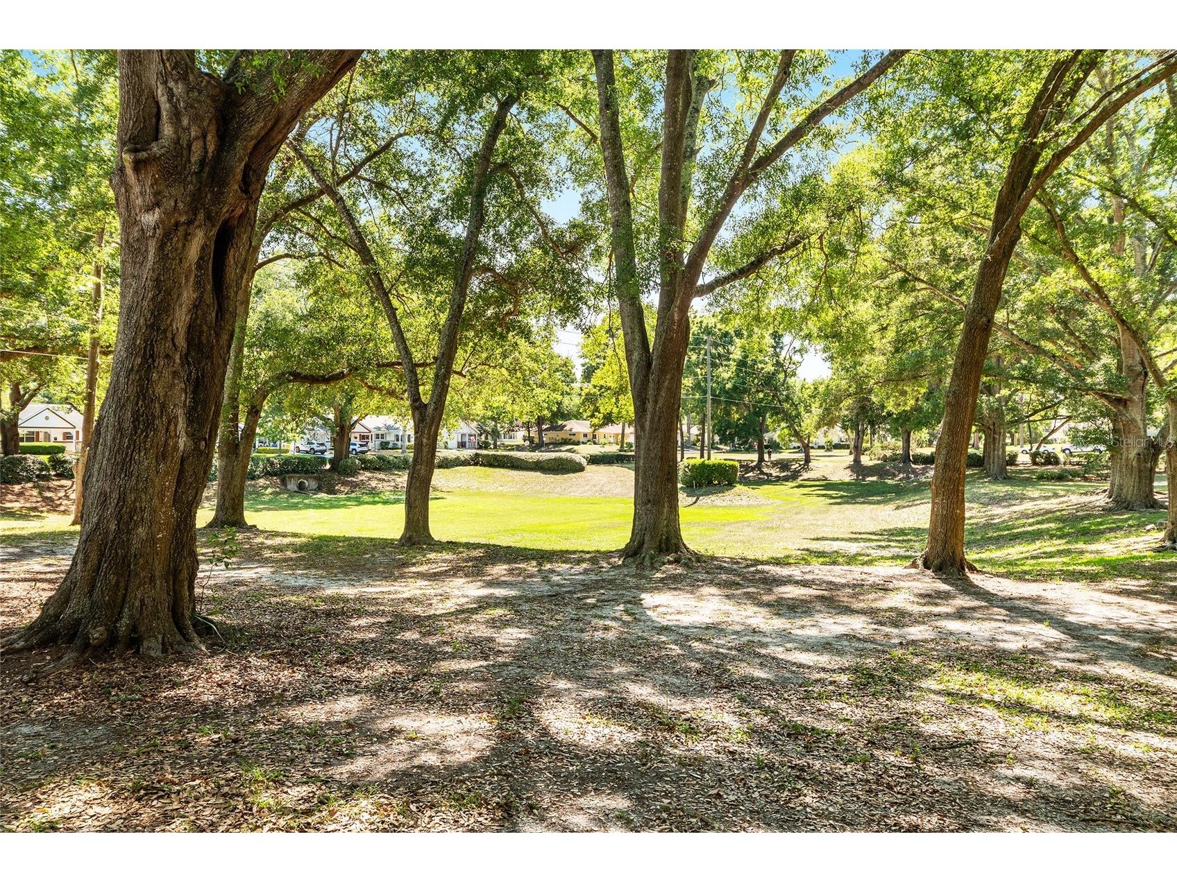 8560 SW 93rd Lane #G Ocala FL 34481 OM724429 image3