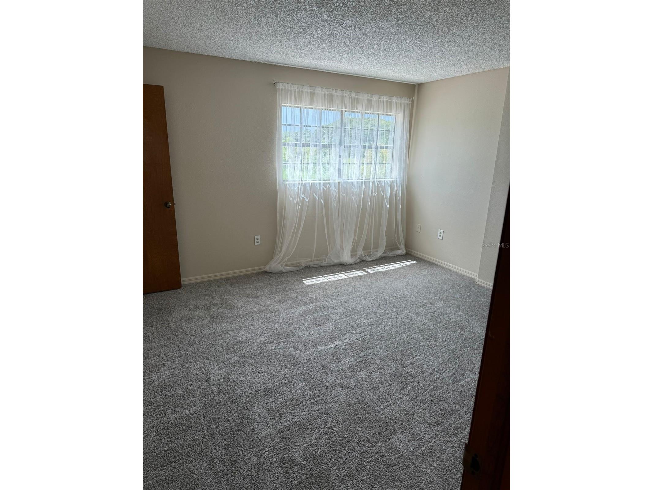 8563 Pilgrim Court New Port Richey FL 34653 TB8518235 image25