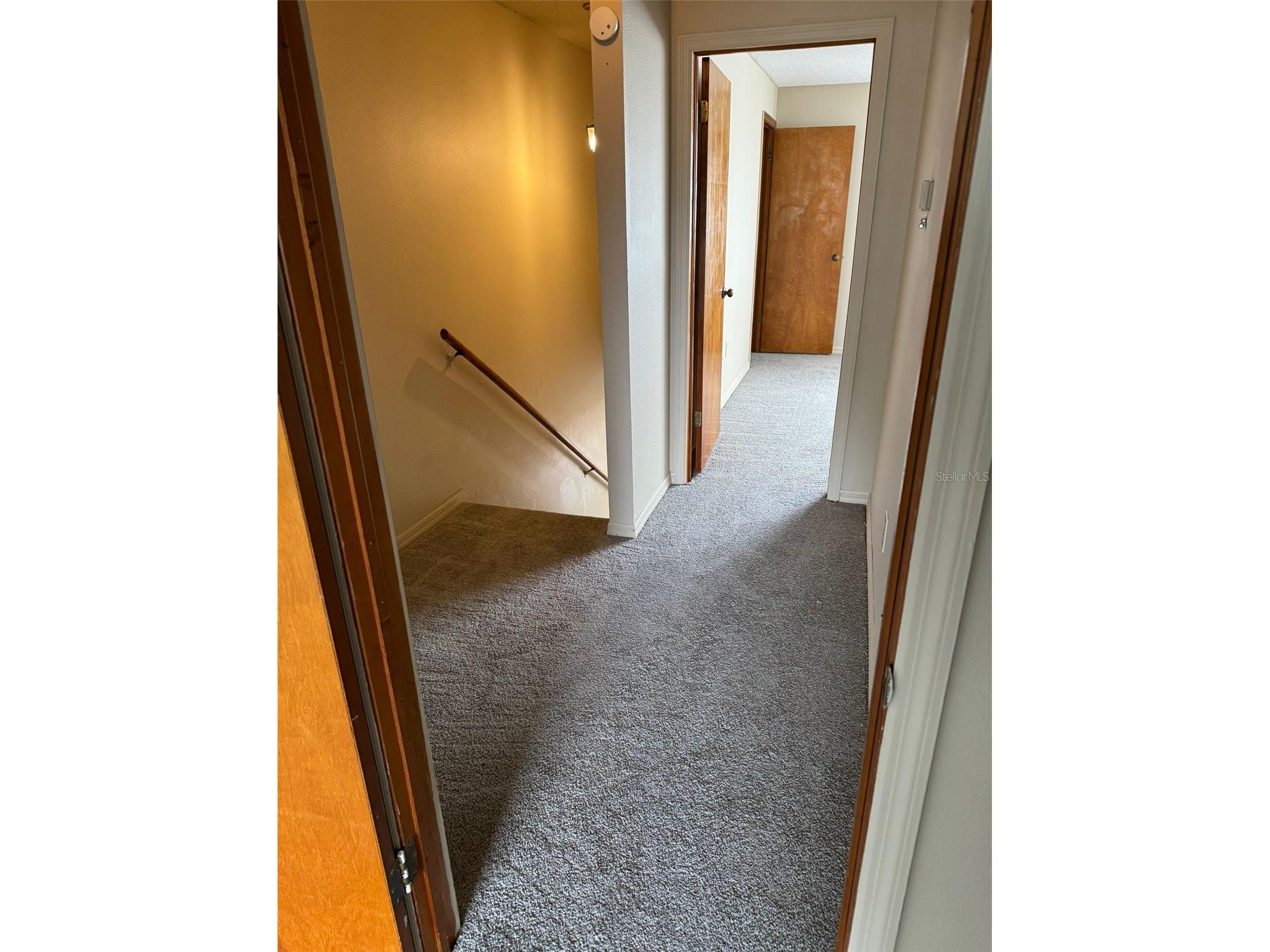 8563 Pilgrim Court New Port Richey FL 34653 TB8518235 image28