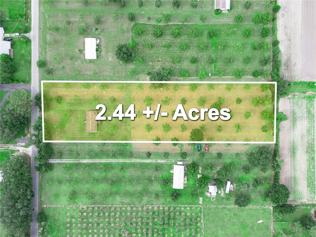 8564 Carey Road Lithia FL 33547 L4955872 image2