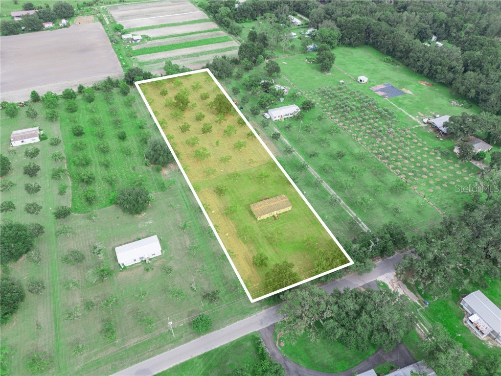 8564 Carey Road Lithia FL 33547 L4955872 image3