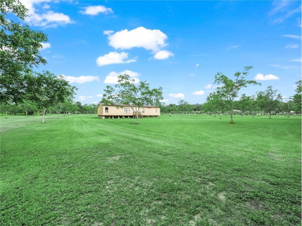 8564 Carey Road Lithia FL 33547 L4955872 image4