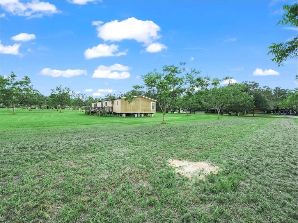 8564 Carey Road Lithia FL 33547 L4955872 image6