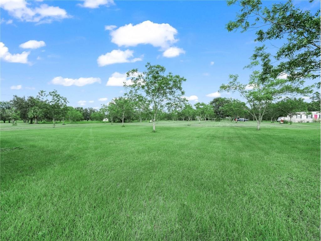 8564 Carey Road Lithia FL 33547 L4955872 image7