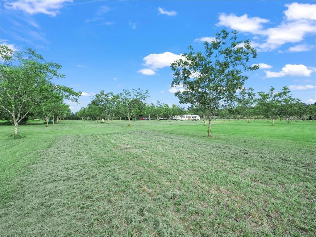 8564 Carey Road Lithia FL 33547 L4955872 image8