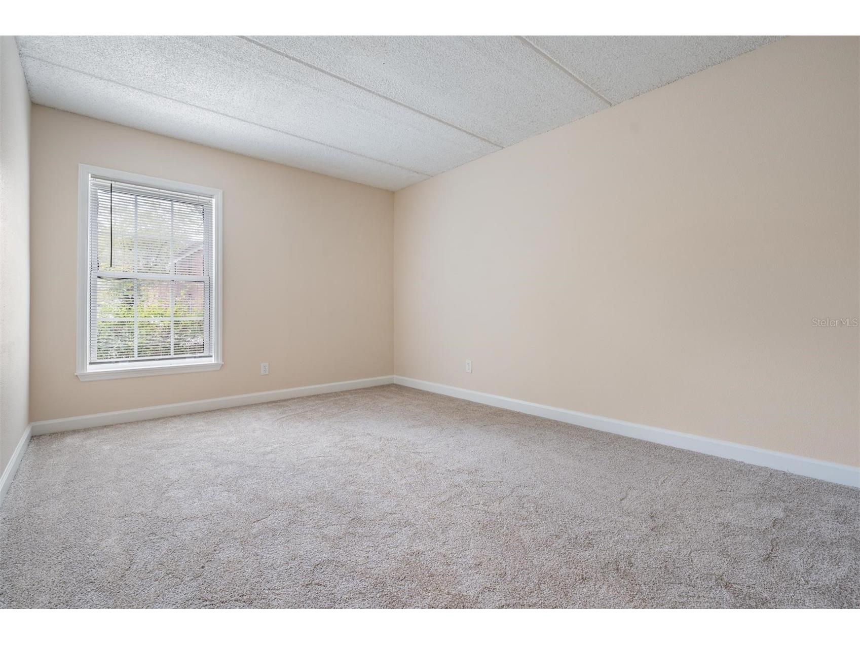 8565 12th Way N #A Saint Petersburg FL 33702 TB8504848 image22