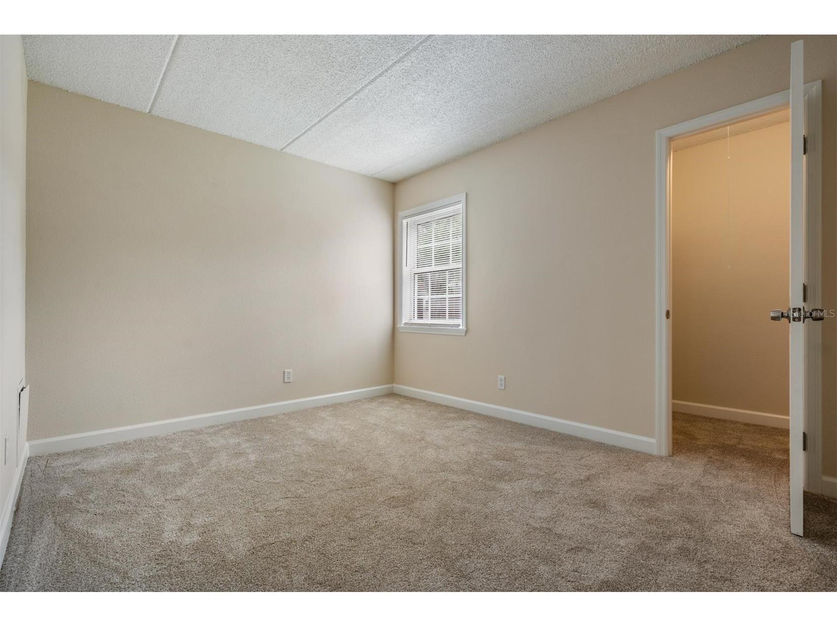 8565 12th Way N #A Saint Petersburg FL 33702 TB8504848 image26