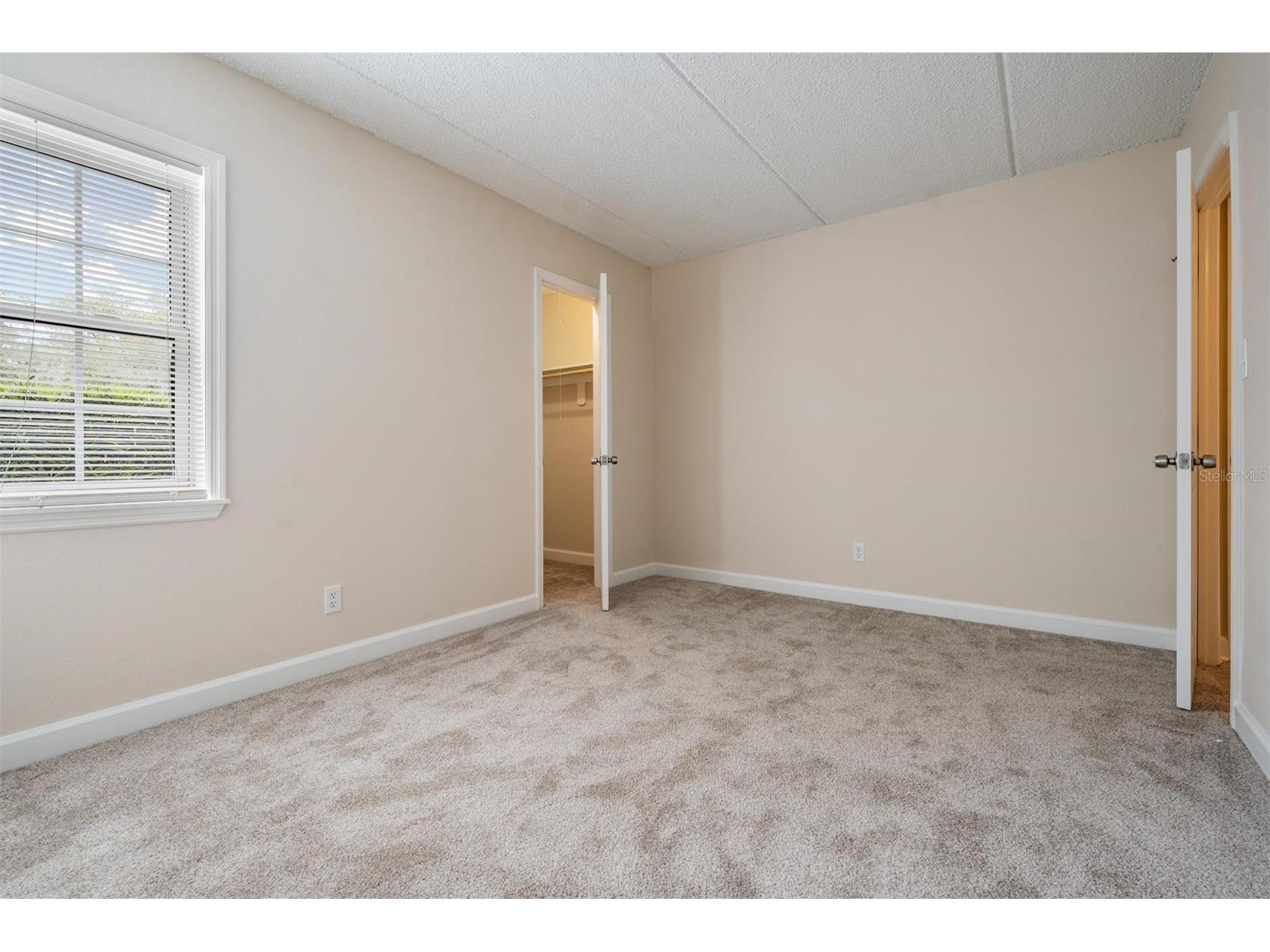 8565 12th Way N #A Saint Petersburg FL 33702 TB8504848 image28