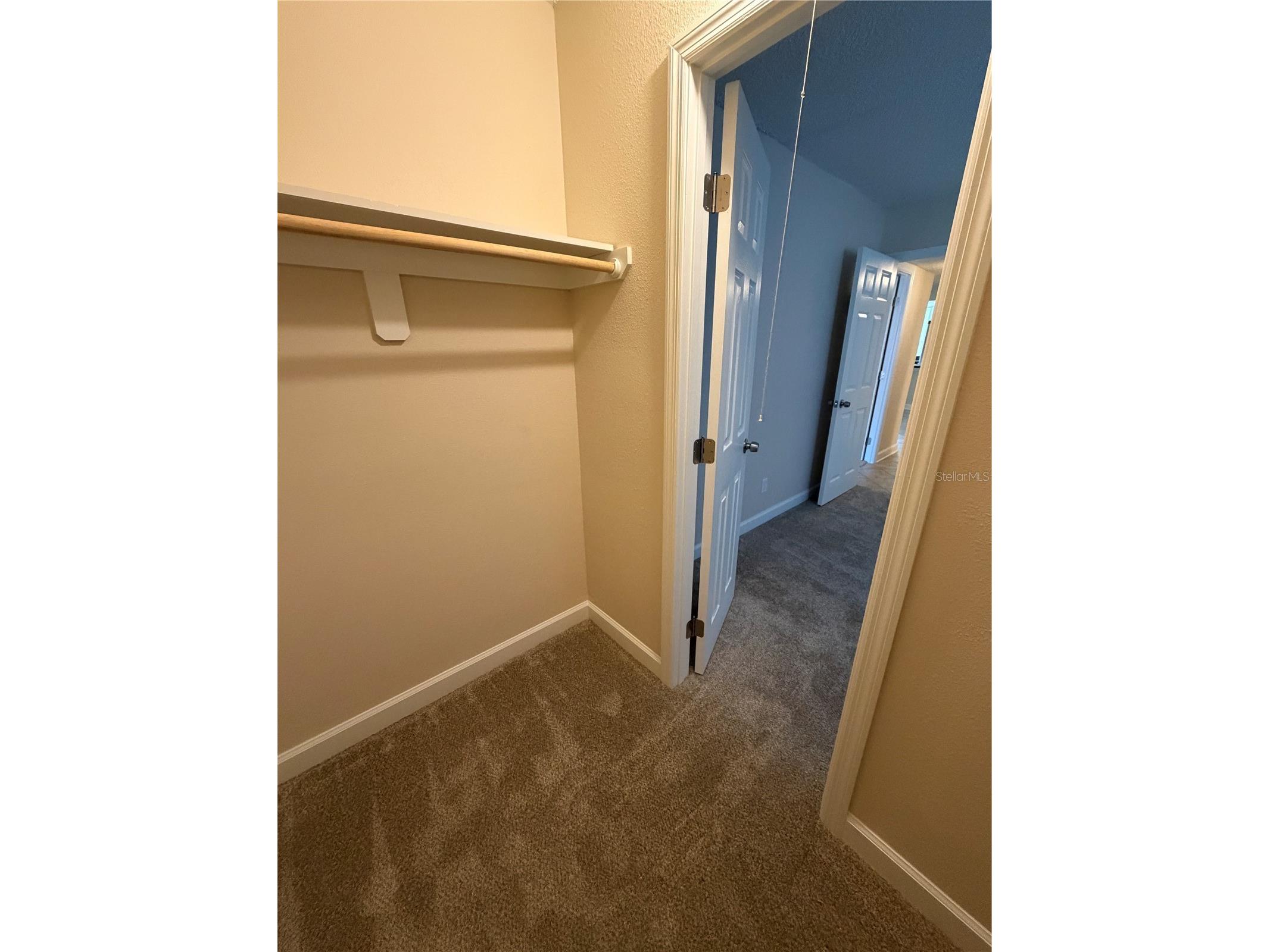 8565 12th Way N #A Saint Petersburg FL 33702 TB8504848 image29