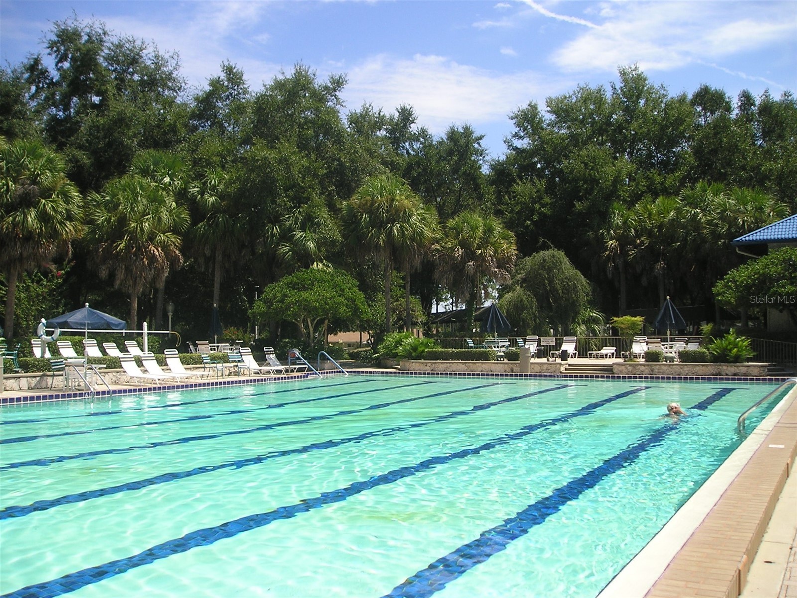 8565 SW 109th Street Ocala FL 34481 OM717854 image30