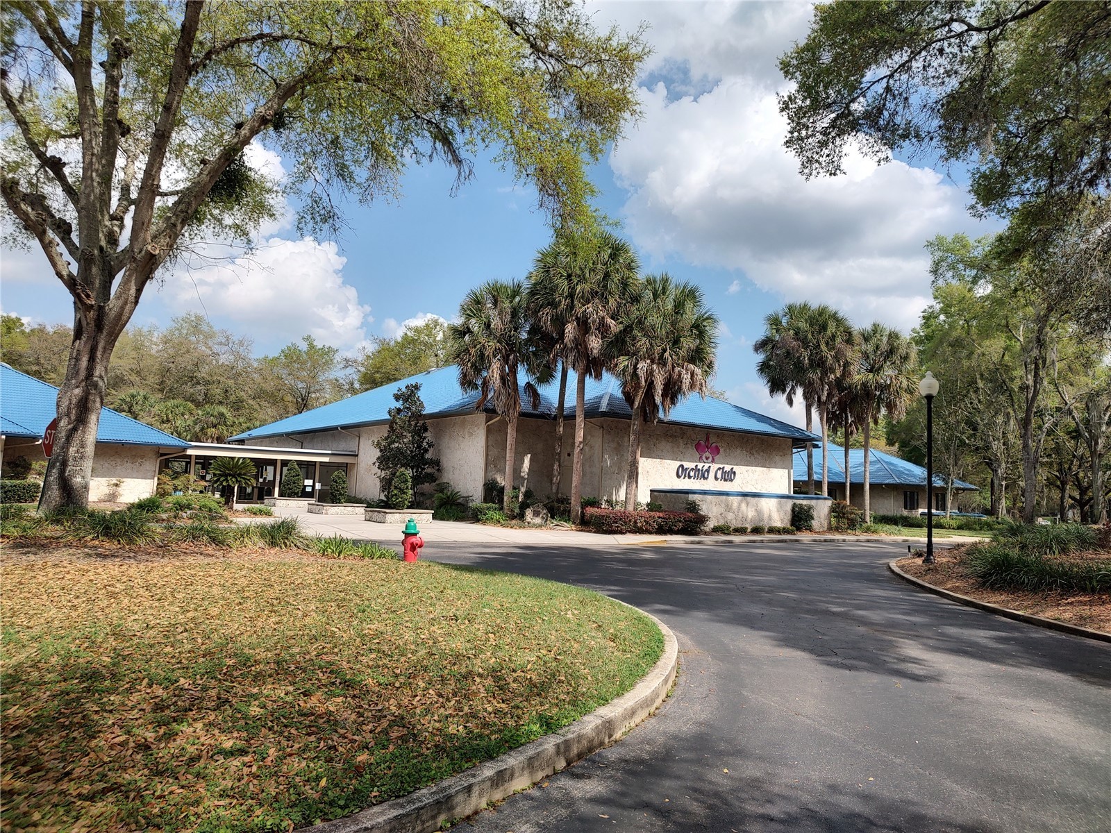 8565 SW 109th Street Ocala FL 34481 OM717854 image31