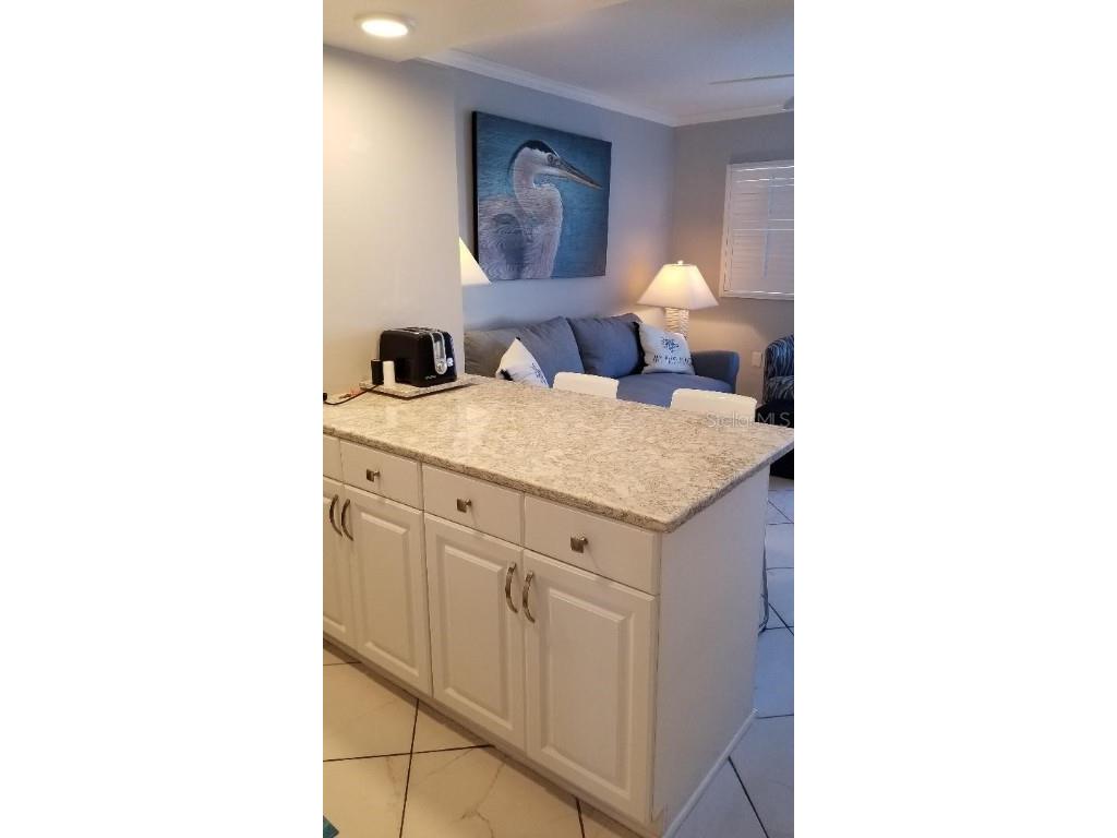 8565 W Gulf Boulevard #11S Saint Petersburg FL 33706 TB8438734 image14