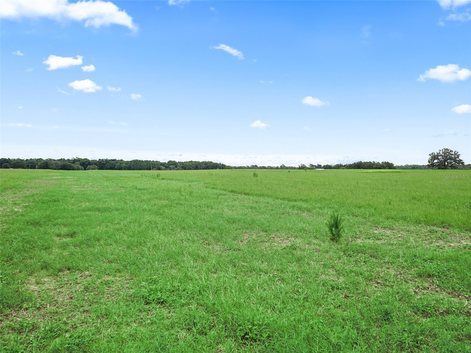 8567 Cr 635 Bushnell FL 33513 G5099277 image34