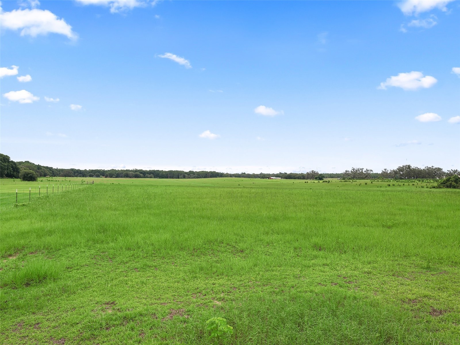 8567 Cr 635 Bushnell FL 33513 G5099277 image41