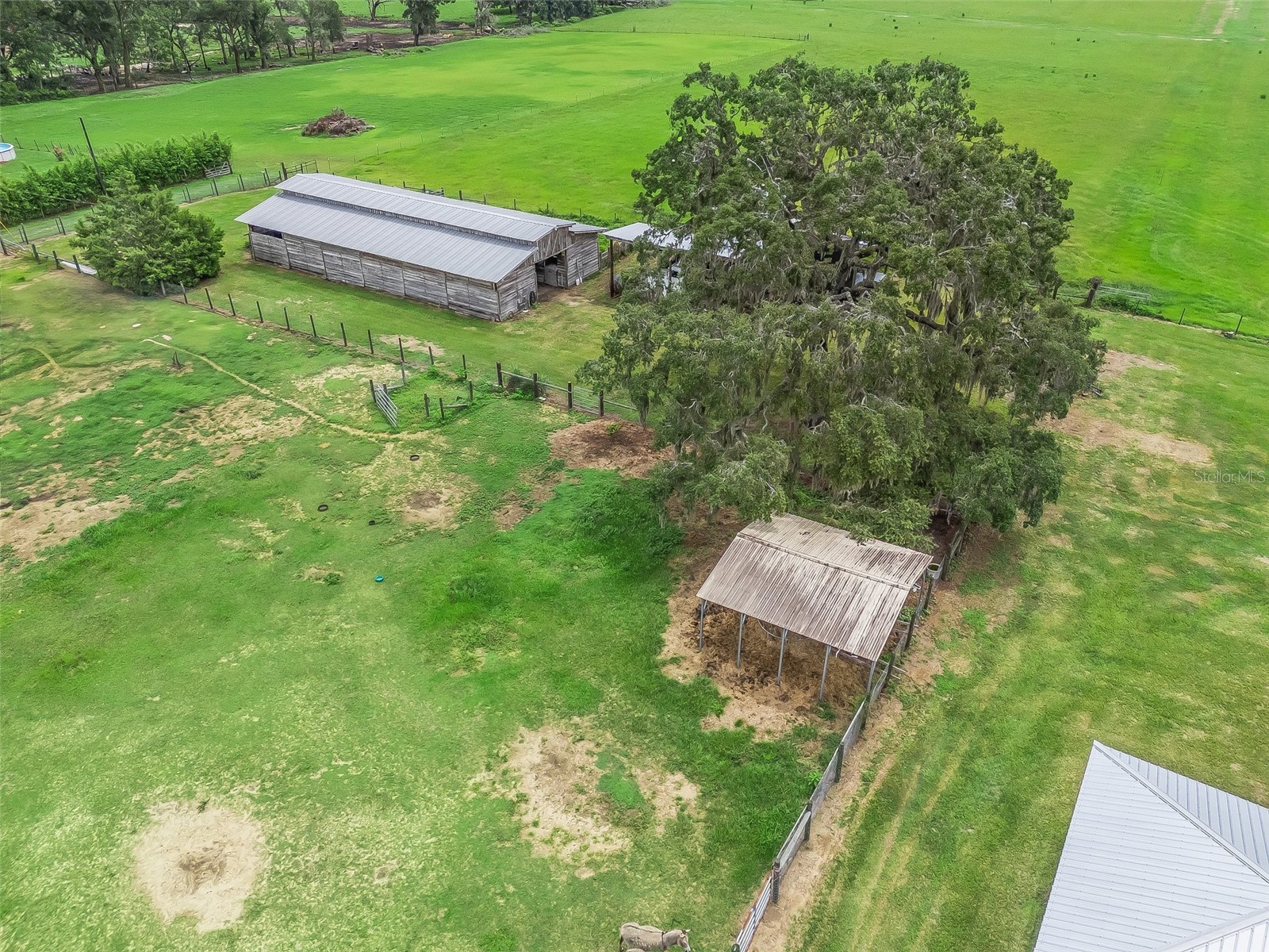 8567 Cr 635 Bushnell FL 33513 G5099277 image45