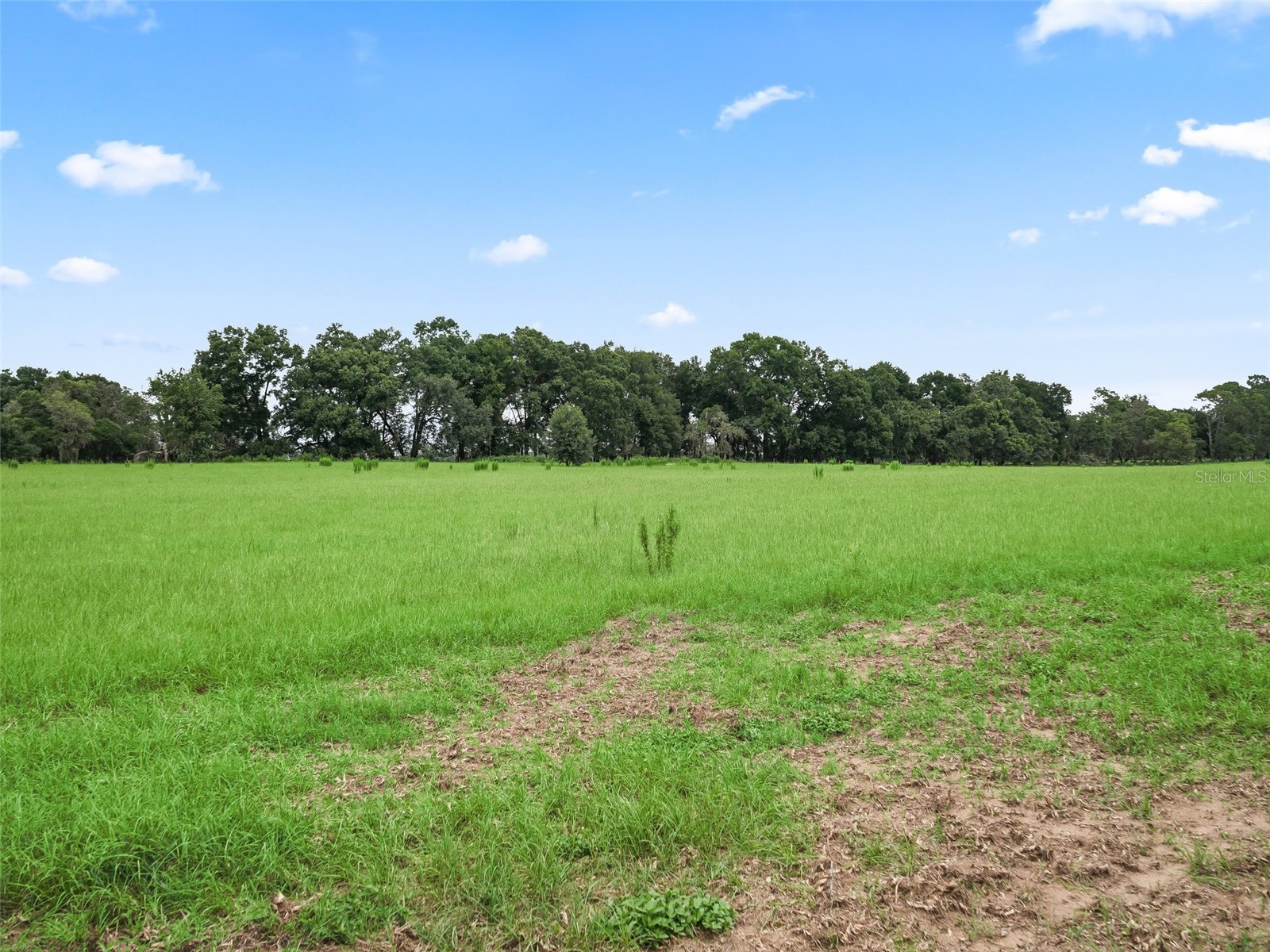 8567 Cr 635 Bushnell FL 33513 G5099278 image39