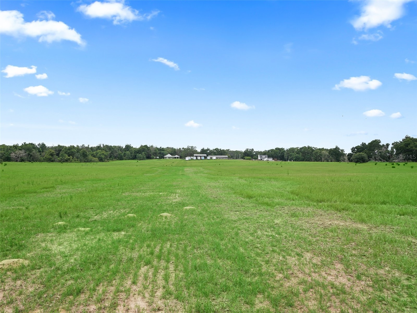 8567 Cr 635 Bushnell FL 33513 G5099278 image40