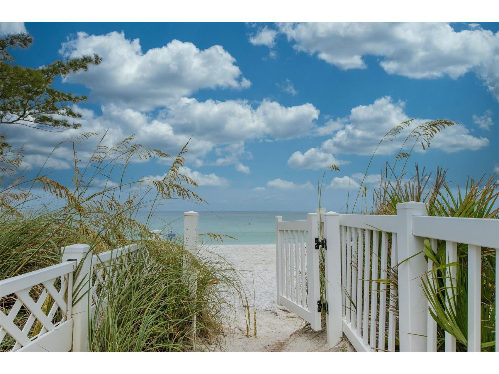8567 W Gulf Boulevard #3N Saint Petersburg FL 33706 TB8498831 image40