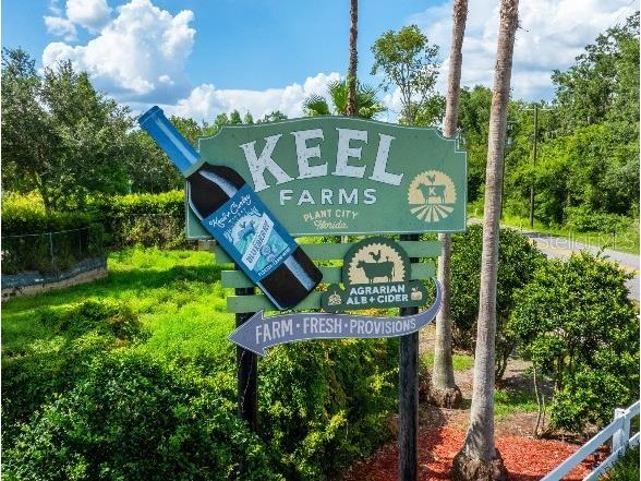 857 Hawthorne Berry Road Lakeland FL 33810 O6358254 image18