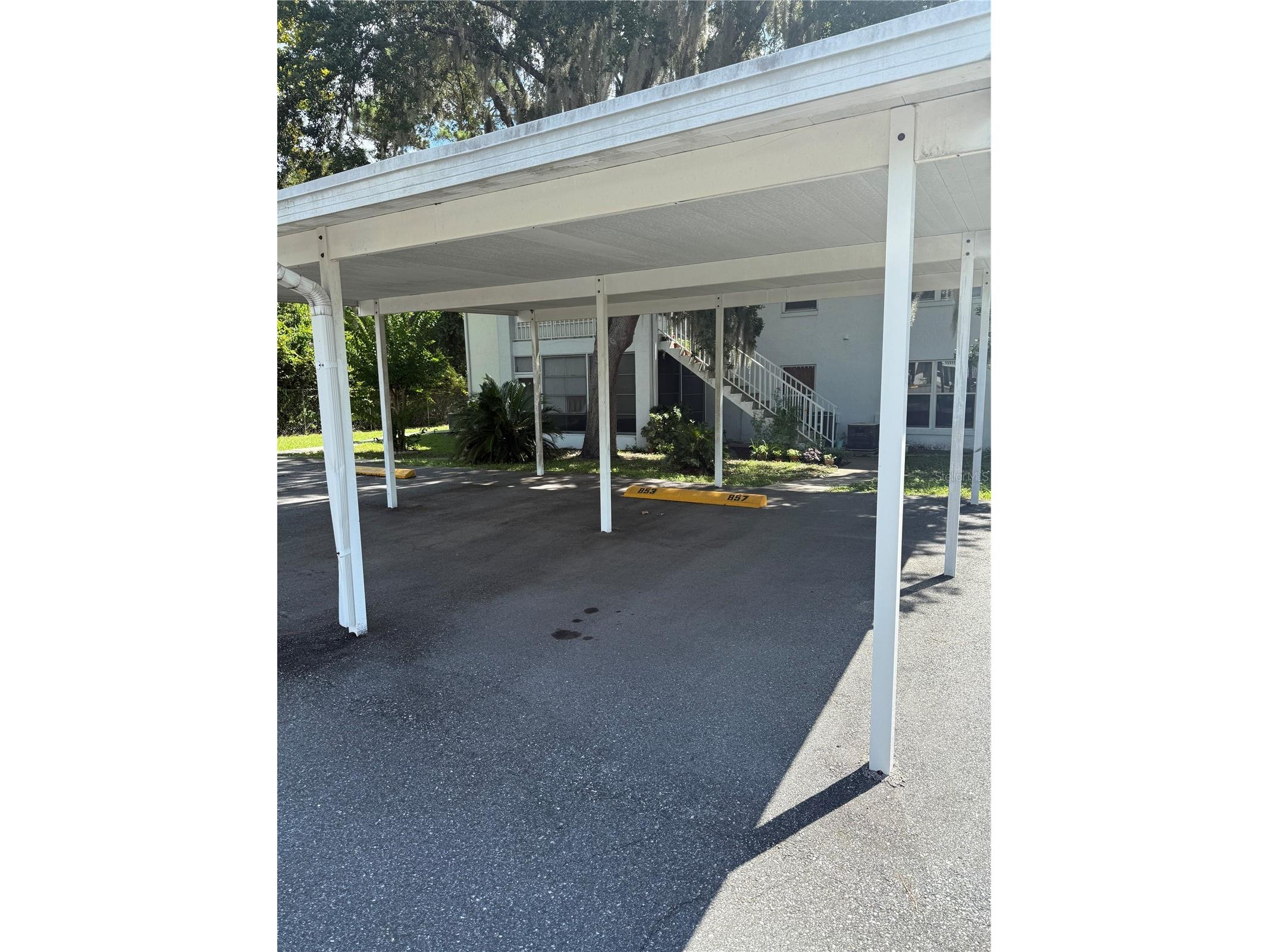 857 SE Mayo Drive #102 Crystal River FL 34429 OM722573 image2