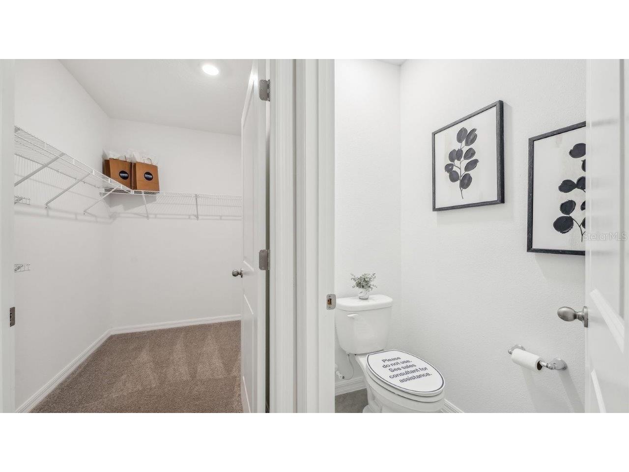 8570 Wheat Stone Drive Zephyrhills FL 33540 TB8453634 image17