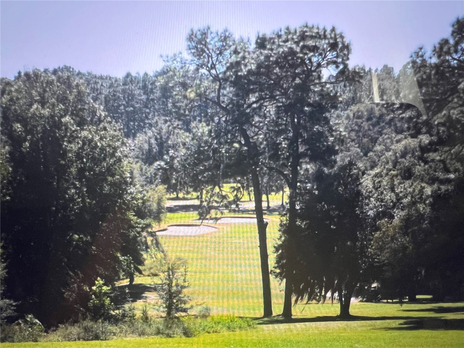 8572 N Pitcairn Way Dunnellon FL 34434 C7526472 image4