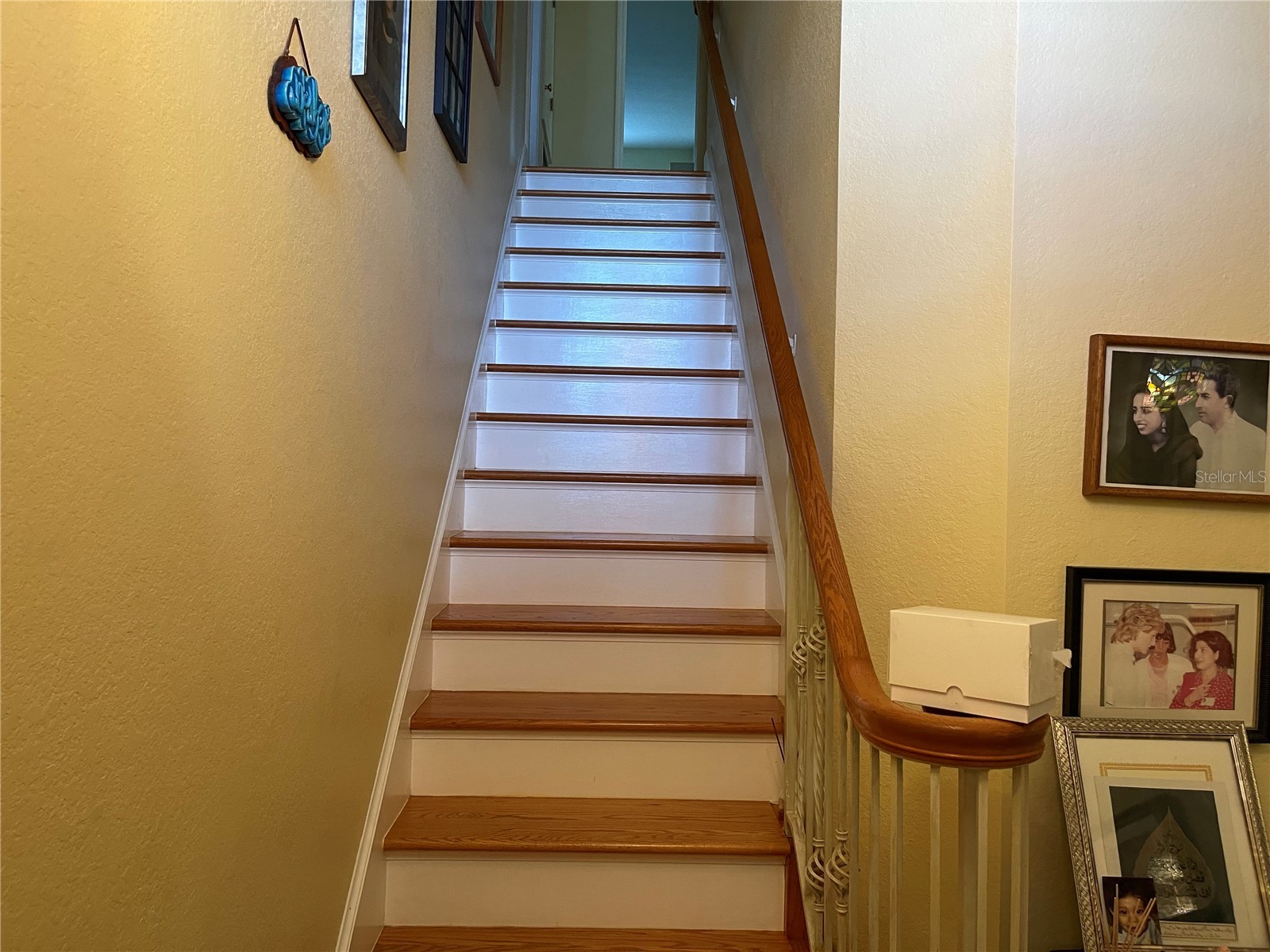 8572 Sweet Magnolia Place Seminole FL 33777 TB8471402 image19