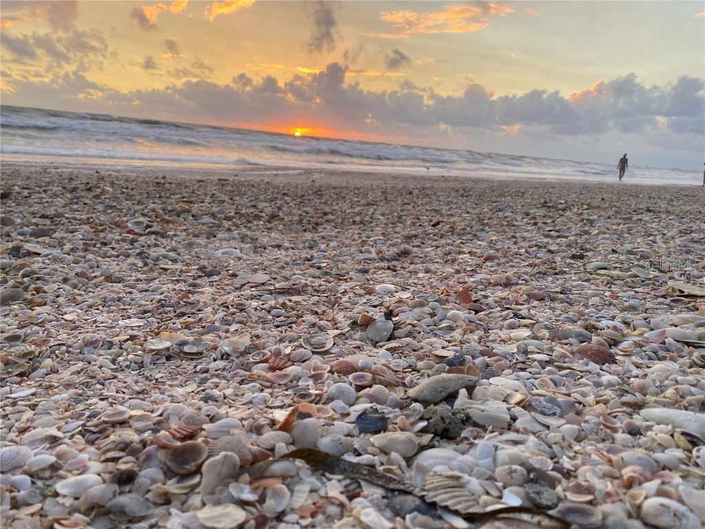 8575 Sunset Court Treasure Island FL 33706 - BLIND PASS WATERWAY TB8435164 image39