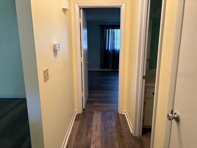 8575 SW 90th Lane #B Ocala FL 34481 O6361112 image15