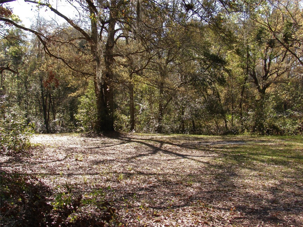 8576 Ocala Avenue Jacksonville FL 32220 GC528834 image10