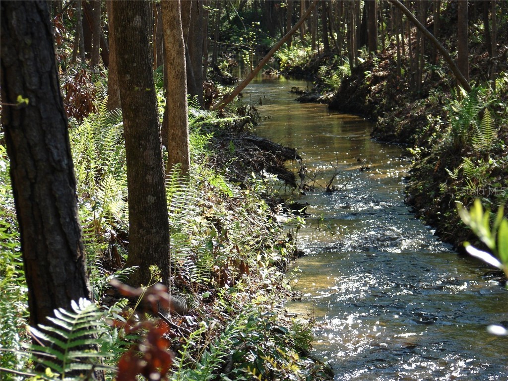 8576 Ocala Avenue Jacksonville FL 32220 GC528834 image12