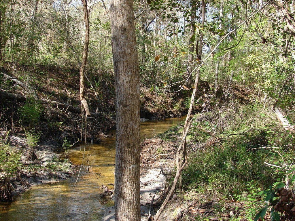 8576 Ocala Avenue Jacksonville FL 32220 GC528834 image19