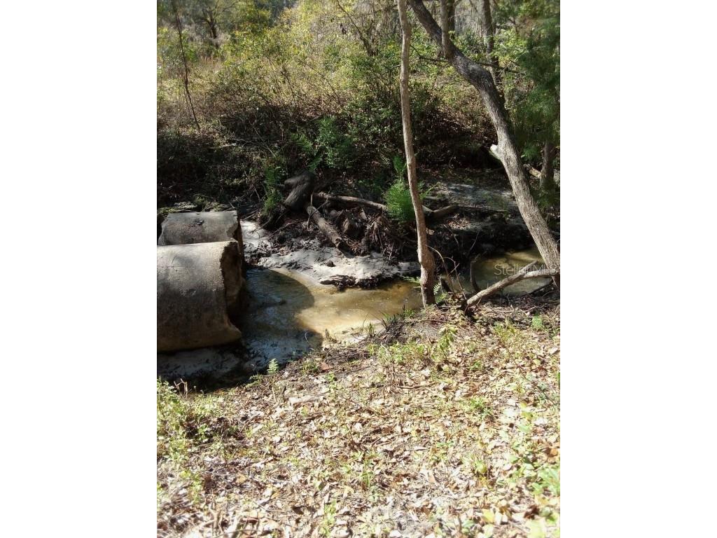 8576 Ocala Avenue Jacksonville FL 32220 GC528834 image22