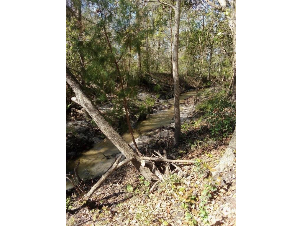 8576 Ocala Avenue Jacksonville FL 32220 GC528834 image23