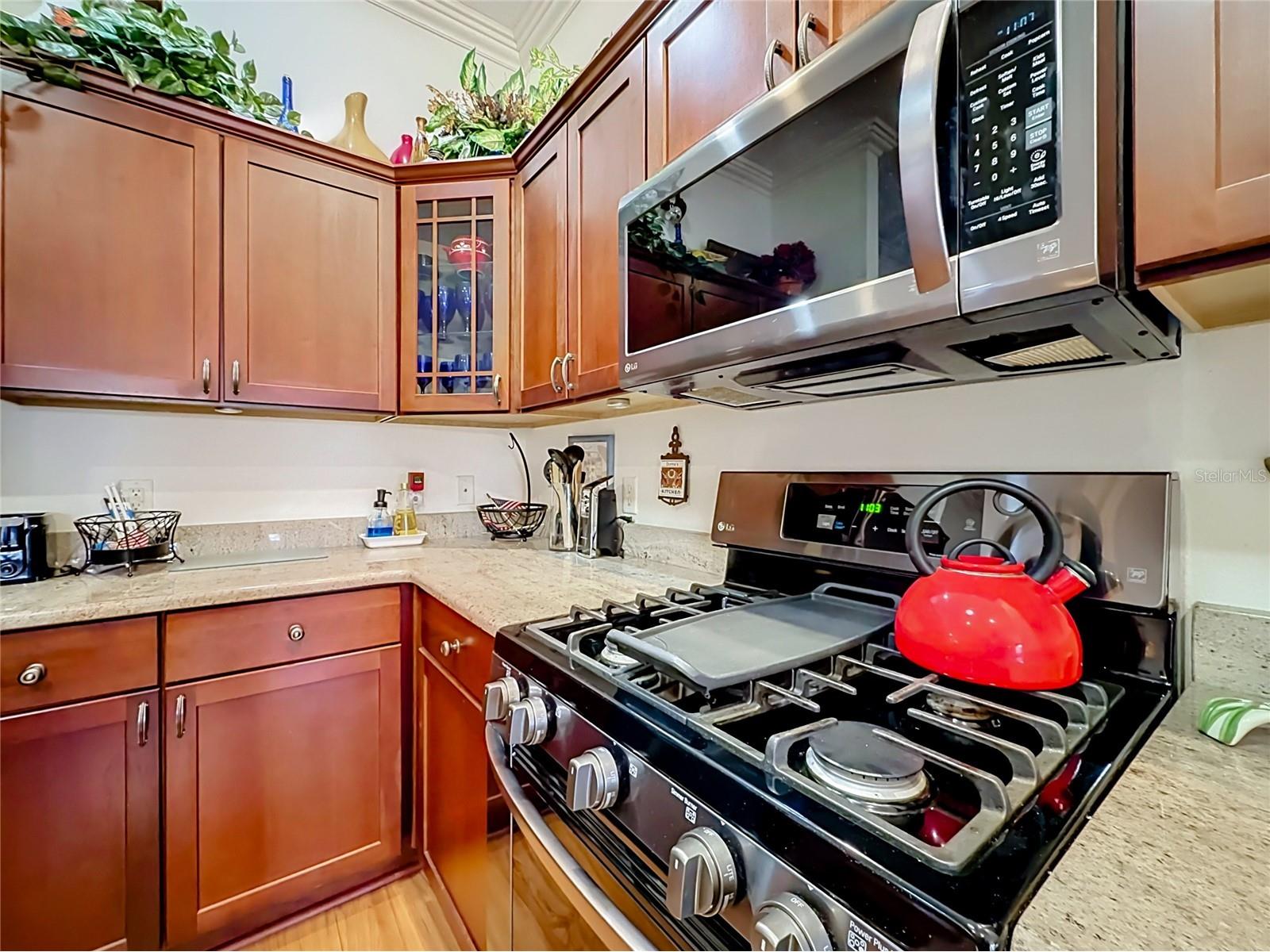 858 Astor Way The Villages FL 32162 G5113574 image23