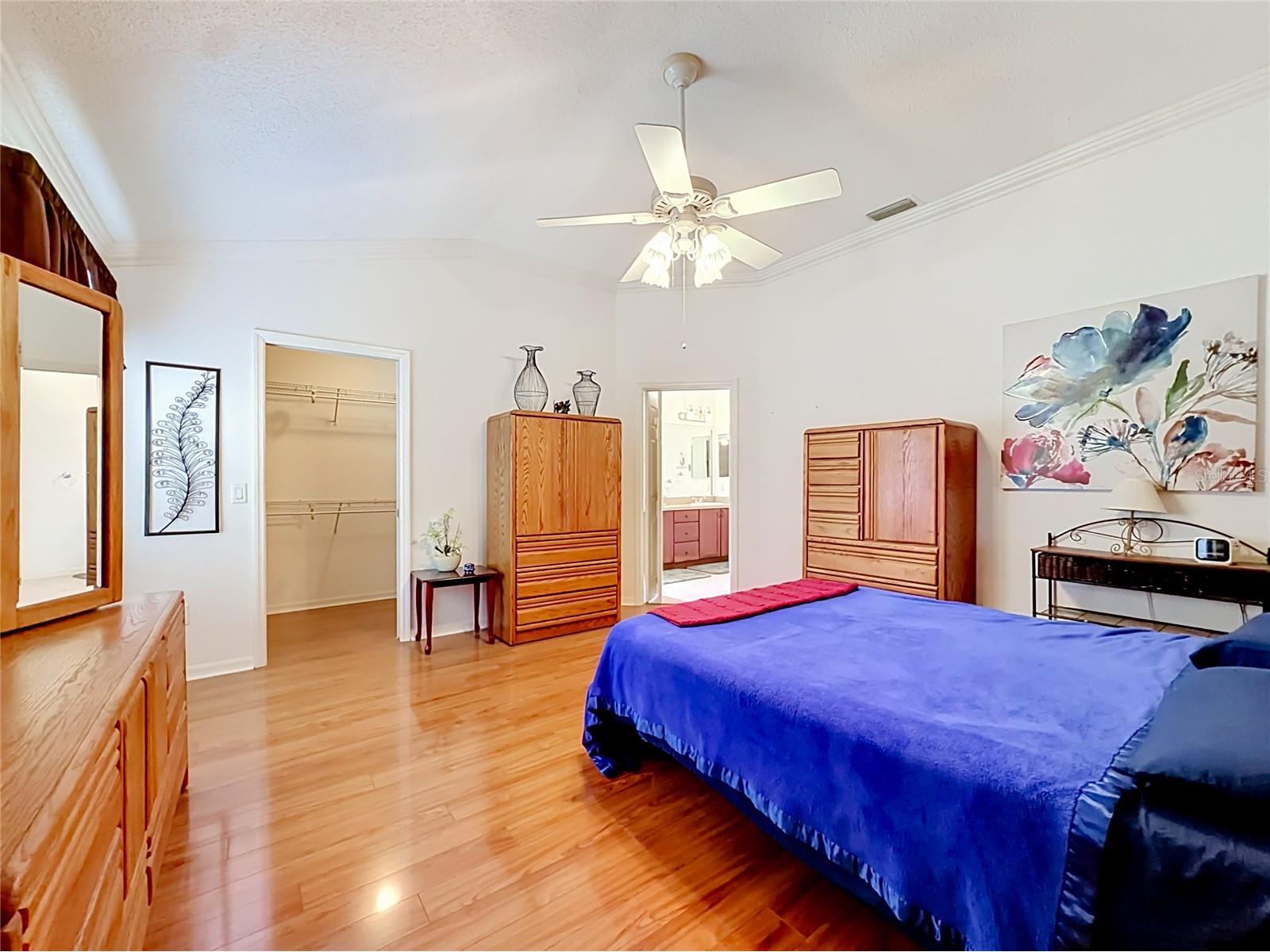 858 Astor Way The Villages FL 32162 G5113574 image36
