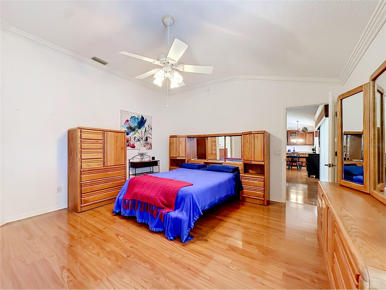 858 Astor Way The Villages FL 32162 G5113574 image37