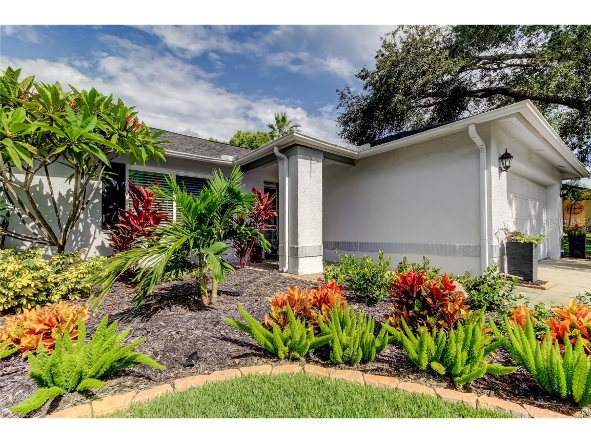 858 Harbor Circle Palm Harbor FL 34683 TB8409180 image1